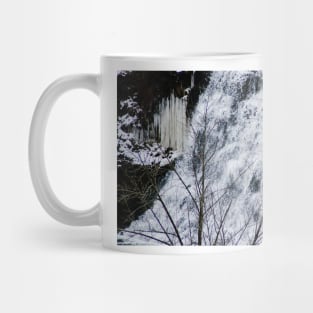 Albion Falls Center Cascades Mug